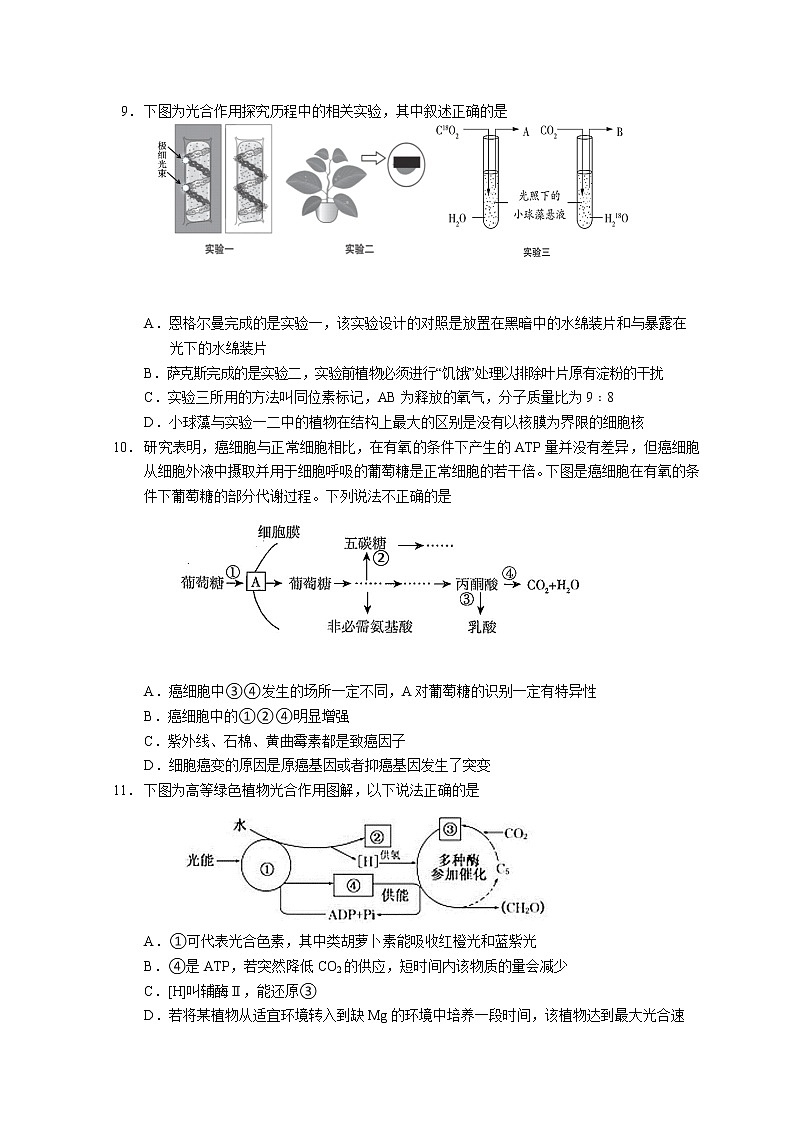 2021重庆北碚区西南大学附中高三上学期10月第二次月考生物试题含答案第3页