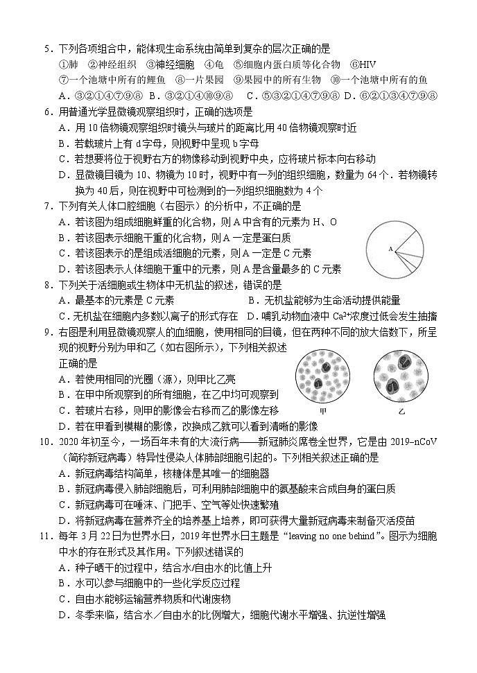 2022重庆北碚区西南大学附中高一上学期10月第二次定时训练生物试题含答案第2页