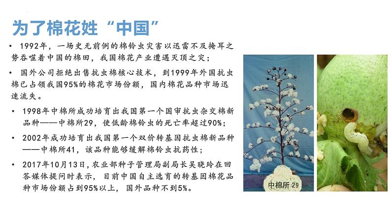 3.1重组DNA技术的基本工具(含DNA粗提取)课件2021-2022学年高二下学期生物人教版选择性必修305