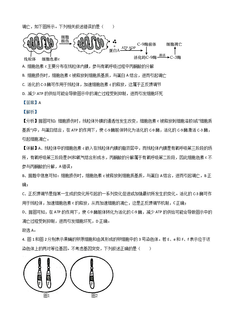 2022届山东省日照市高三下学期3月一模考试生物试题含解析第3页
