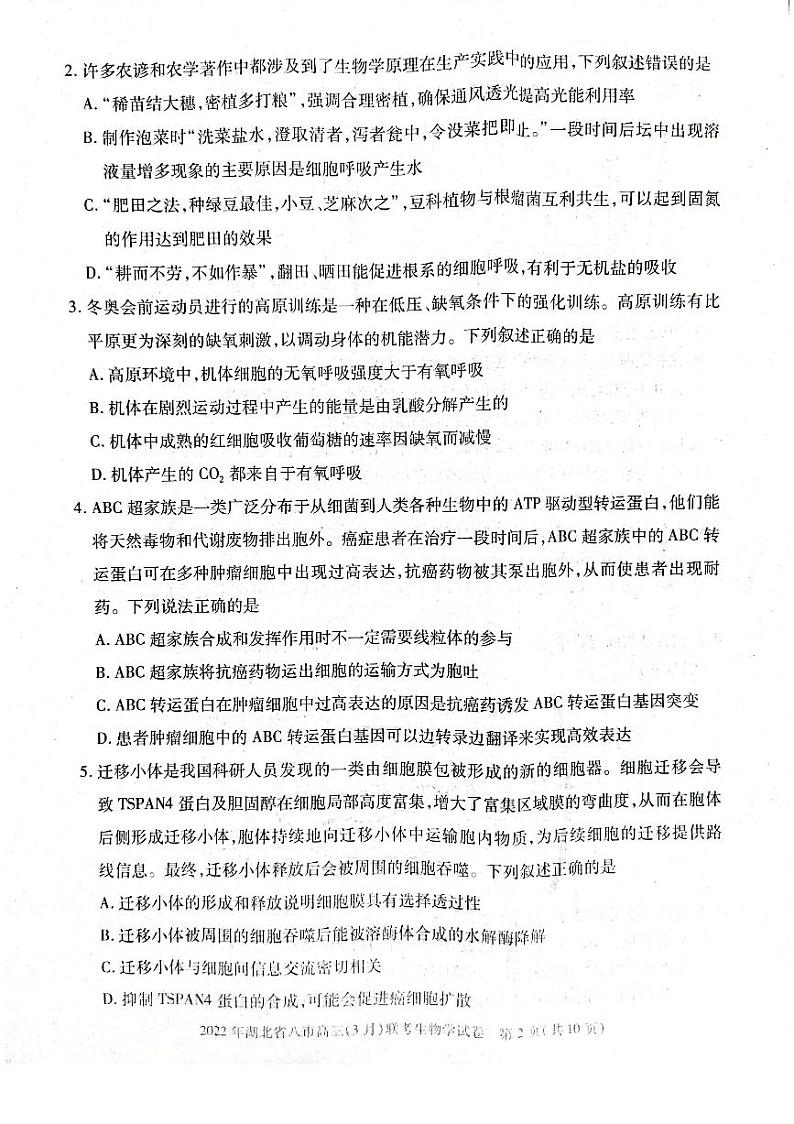 湖北省八市2021-2022学年高三3月联考生物试题第2页