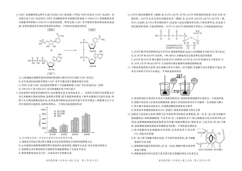2022届河北省神州智达省级联测高三上学期第二次考试生物试题 PDF版02