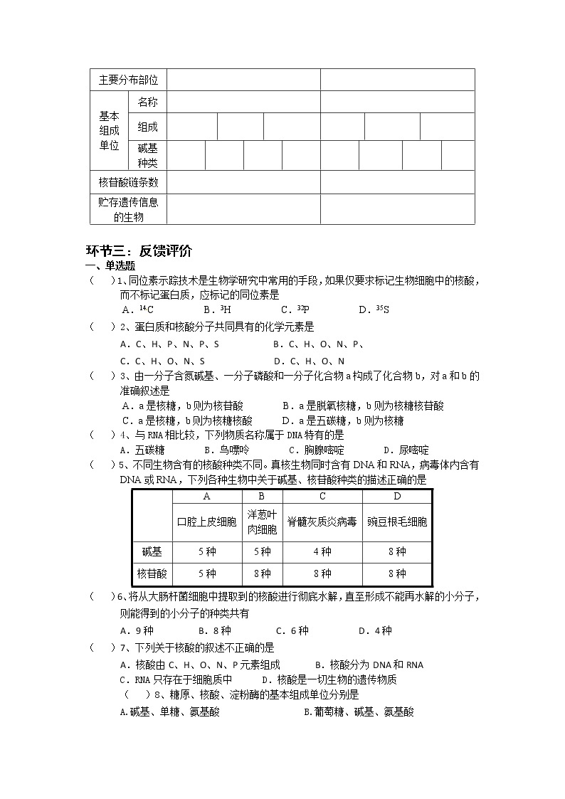 高中生物人教版（2019）必修一 分子与细胞 2.5 核酸是遗传信息的携带者（学案）02