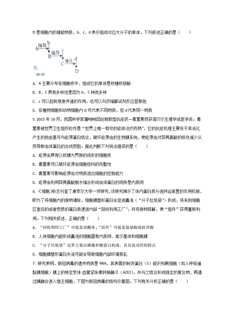 2022池州一中高一下学期3月月考生物试题含答案第2页