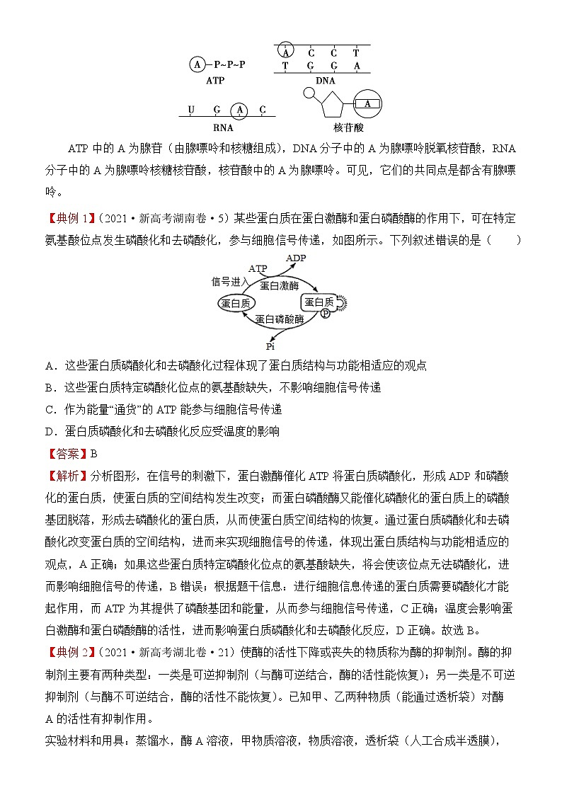 2022届优质校一模试卷专题汇编4 酶与ATP 解析版第2页