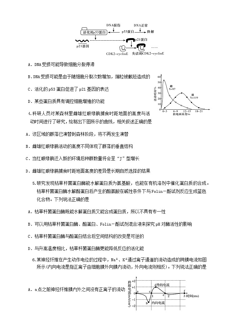 生物（含答案）第2頁(yè)