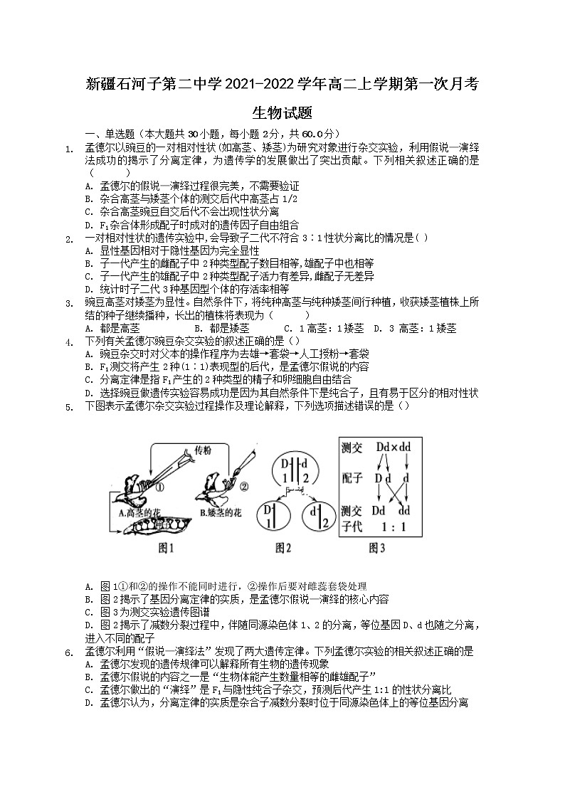 2021-2022学年新疆石河子第二中学高二上学期第一次月考生物试题含答案01