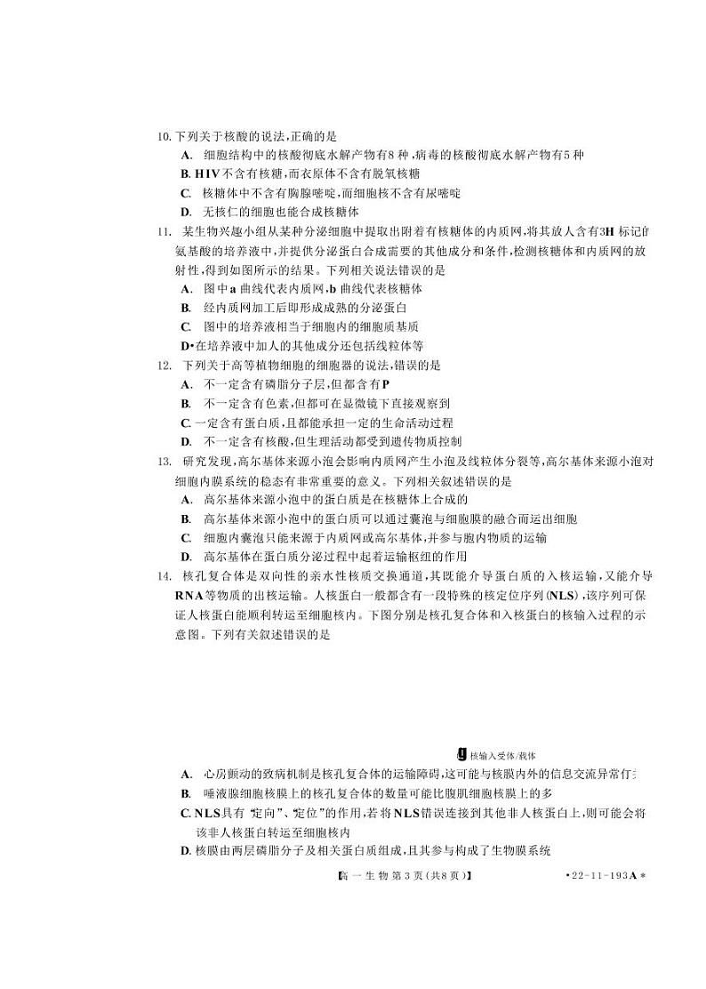 2021-2022学年河南省洛阳市创新发展联盟高一上学期第二次联考生物试卷 PDF第3页