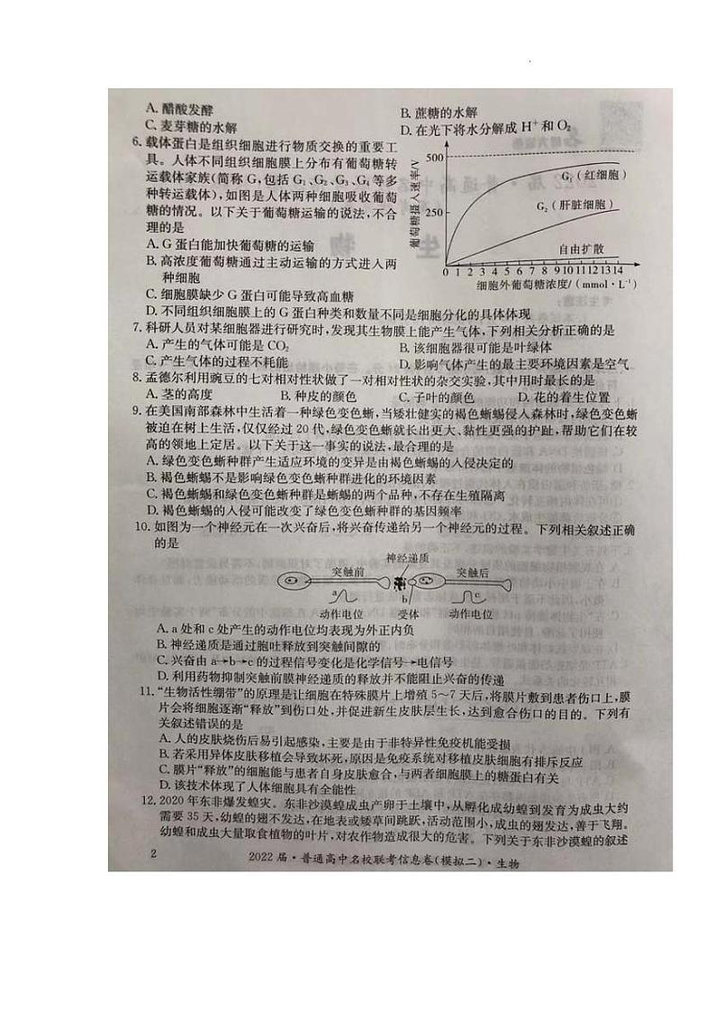 2022高三普通高中名校联考信息卷(模拟二)试卷及答案――生物(解析版)第2页