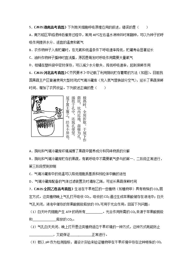 三年高考(2019-2021)生物试题分项汇编专题03细胞呼吸含答案02