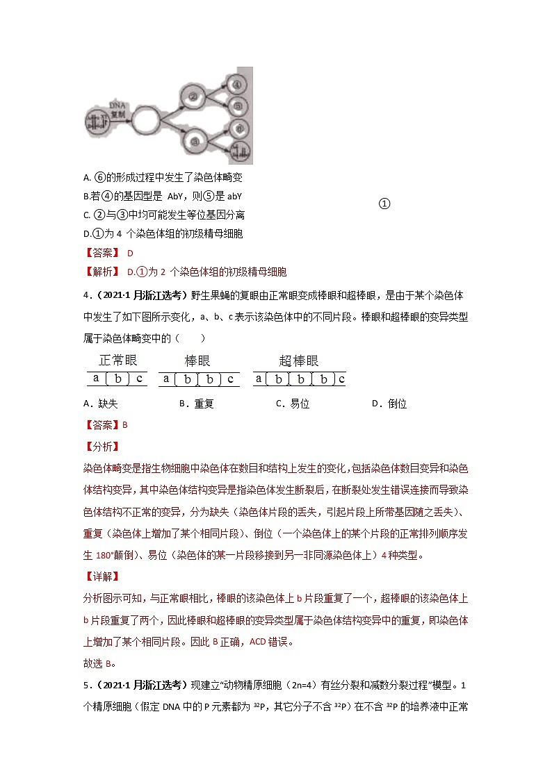 三年高考(2019-2021)生物试题分项汇编专题05有丝分裂和减数分裂含答案02