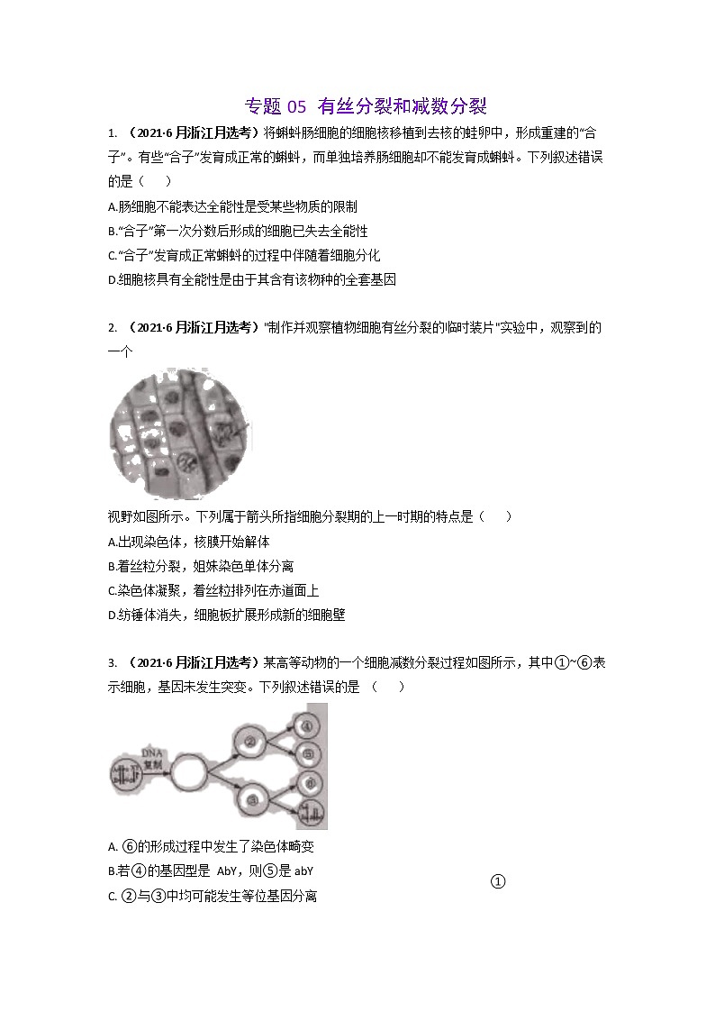 三年高考(2019-2021)生物试题分项汇编专题05有丝分裂和减数分裂含答案01