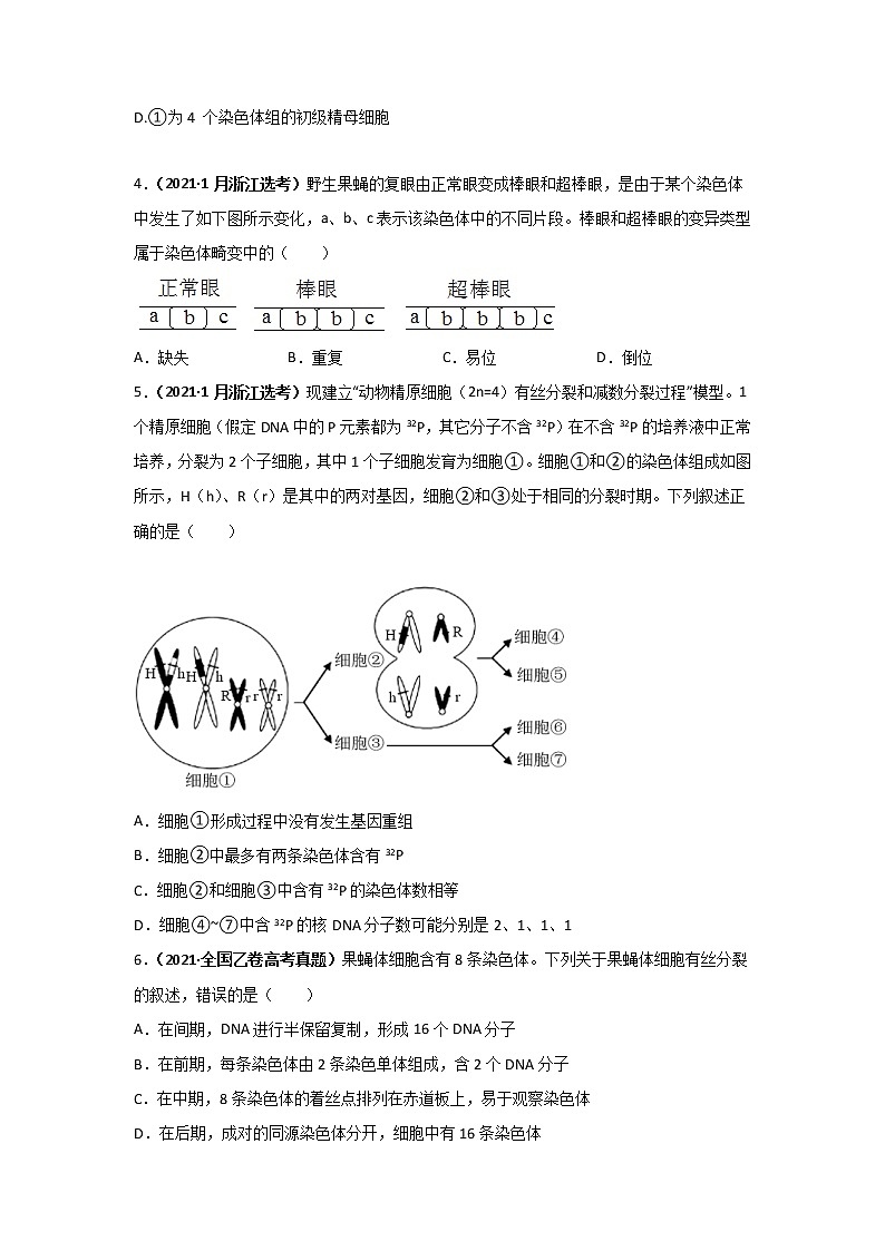 三年高考(2019-2021)生物试题分项汇编专题05有丝分裂和减数分裂含答案02