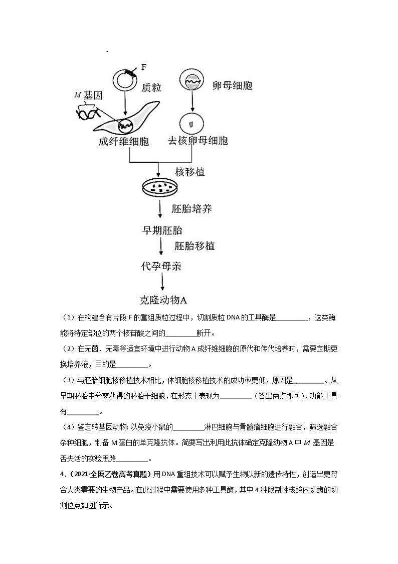 三年高考(2019-2021)生物试题分项汇编专题20现代生物科技专题学生版第2页