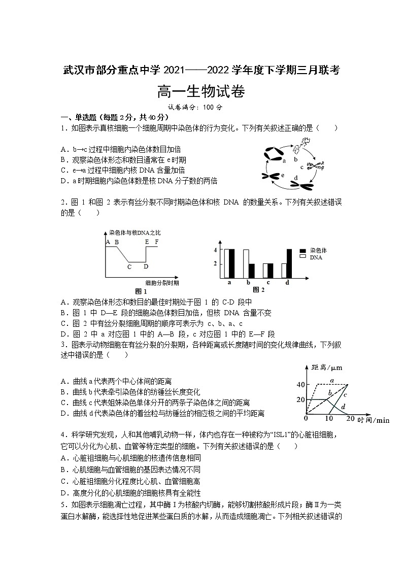 2022武汉部分重点中学高一下学期3月联考生物试题无答案第1页