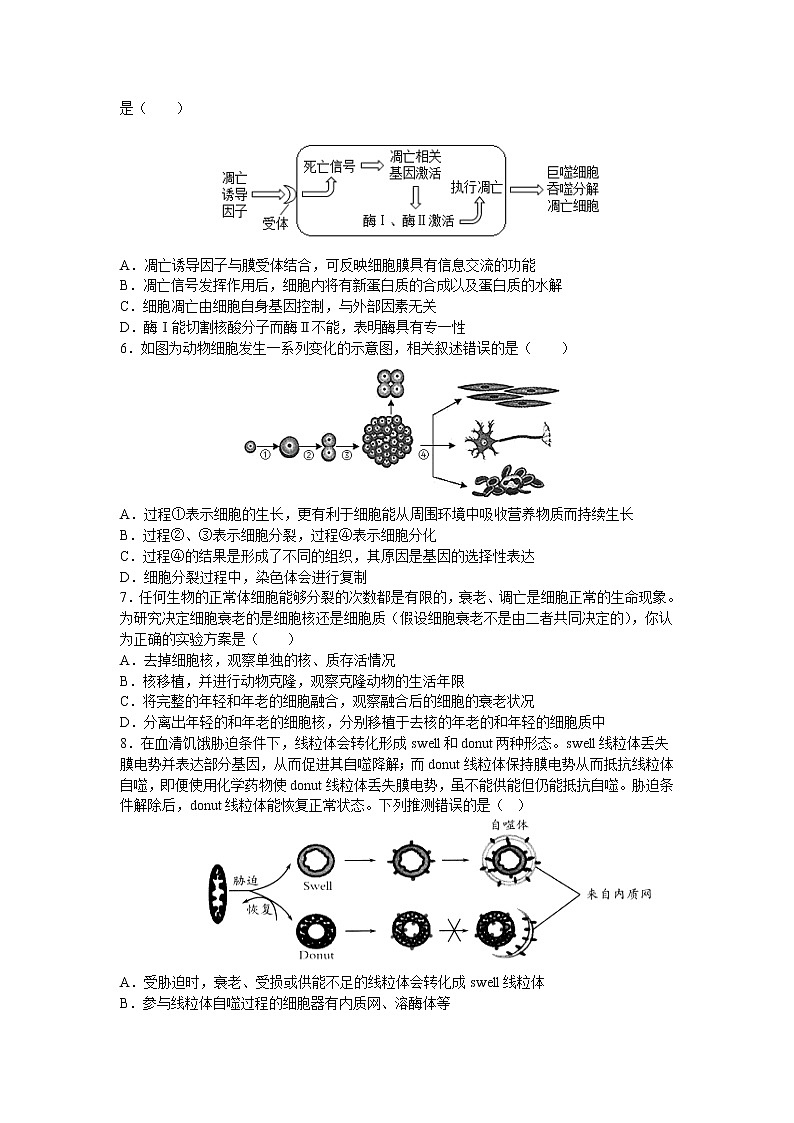 2022武汉部分重点中学高一下学期3月联考生物试题无答案第2页