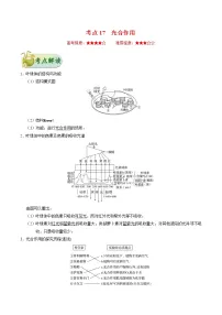 考点17 光合作用-备战2022年高考生物一轮复习考点一遍过学案