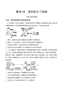 解密10 遗传的分子基础（分层训练）-【高频考点解密】 高考生物二轮复习讲义+分层训练