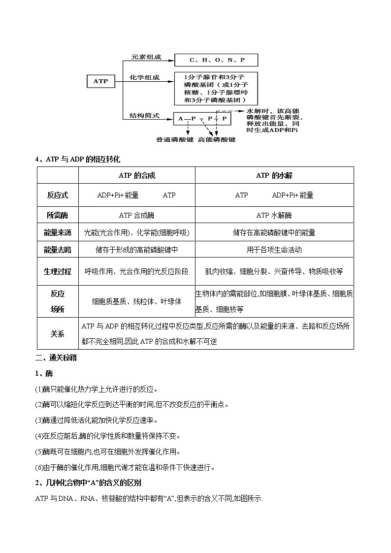 专题04 酶和ATP-备战2022年高考生物专题提分攻略(解析版)第2页