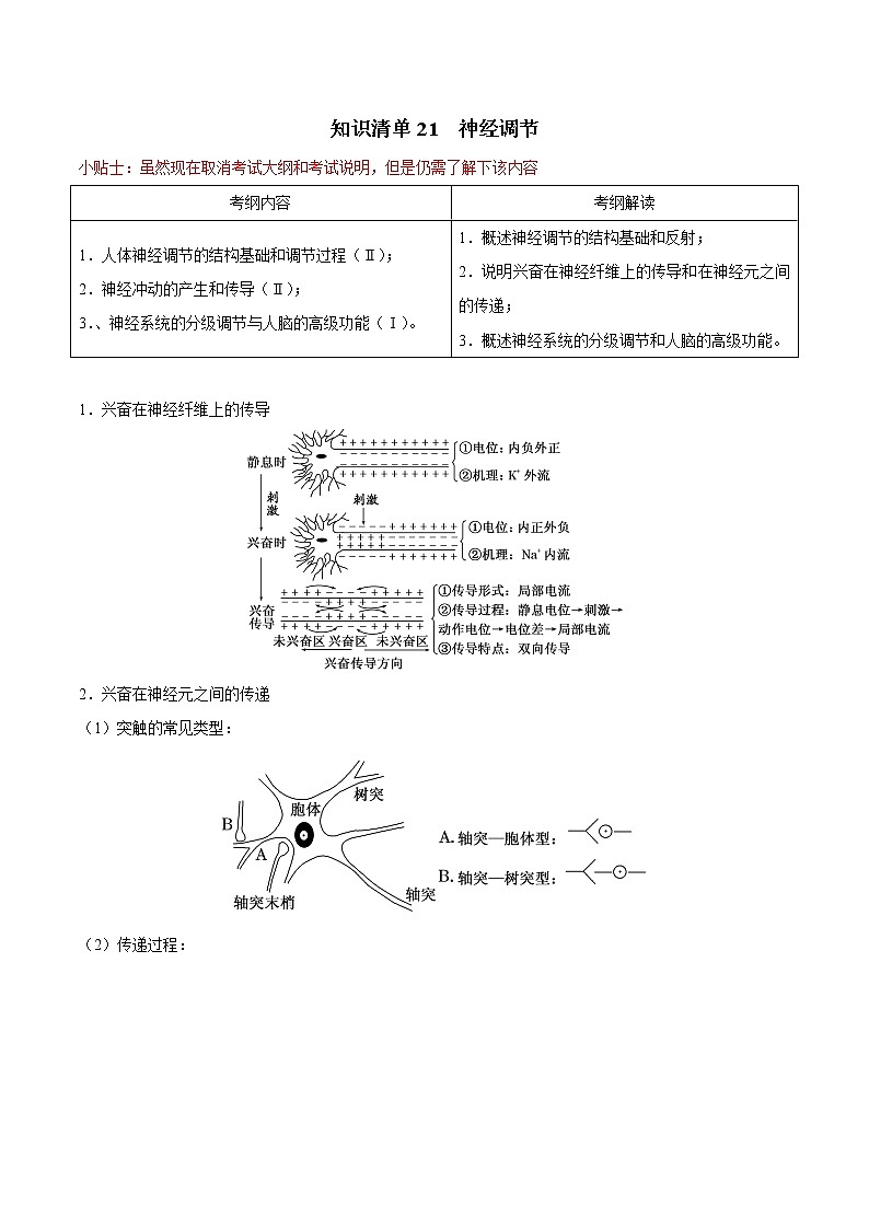 知识清单21 神经调节-2022年高考生物一轮复习必背知识清单第1页
