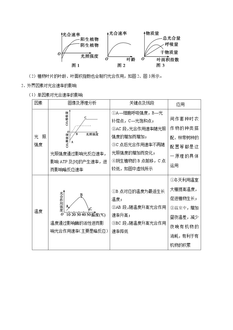 解密07 光合作用和呼吸作用的联系及应用（讲义）-【高频考点解密】 高考生物二轮复习讲义+分层训练02