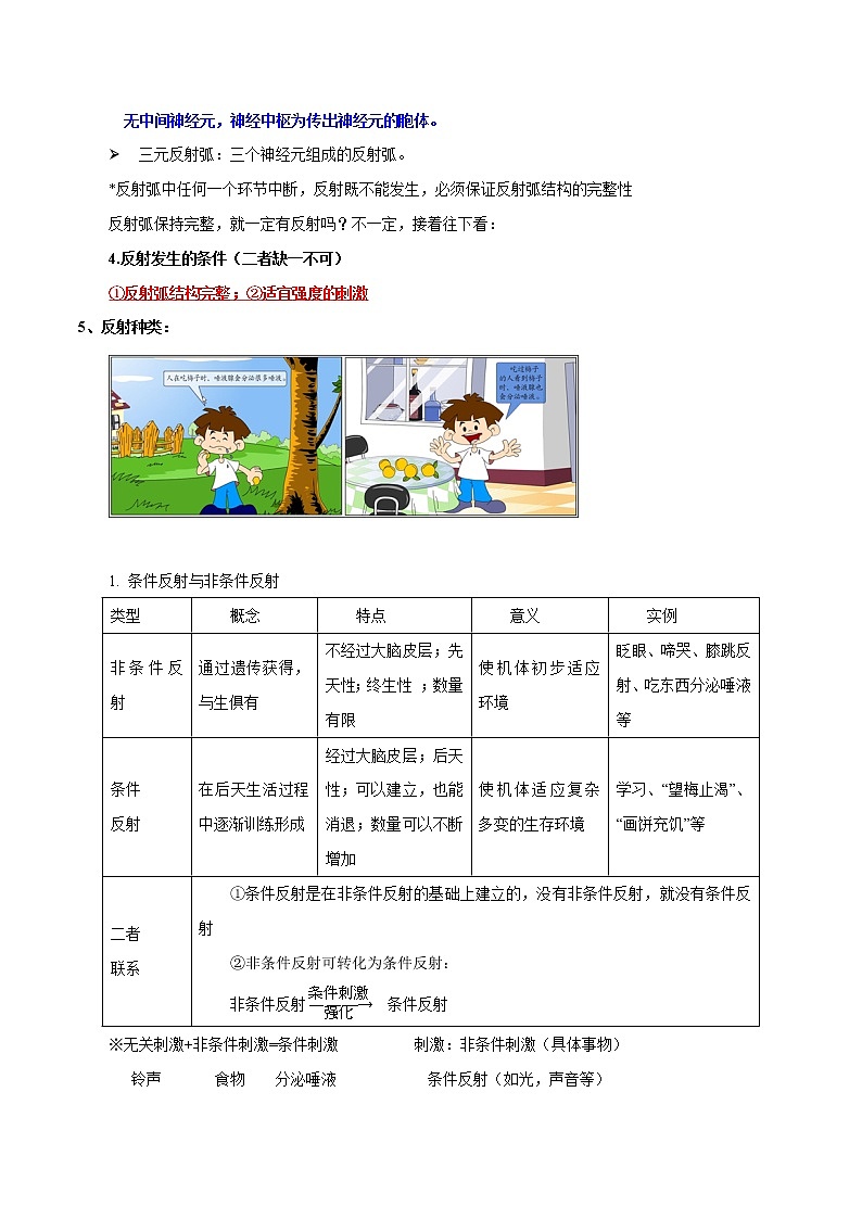 专题15 动物和人体生命活动的调节-2022年高考生物一轮复习知识点梳理与归纳第2页