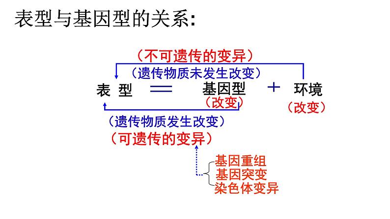 5.1基因突变和基因重组课件-2021-2022学年高一下学期生物人教版(2019)必修2第1页