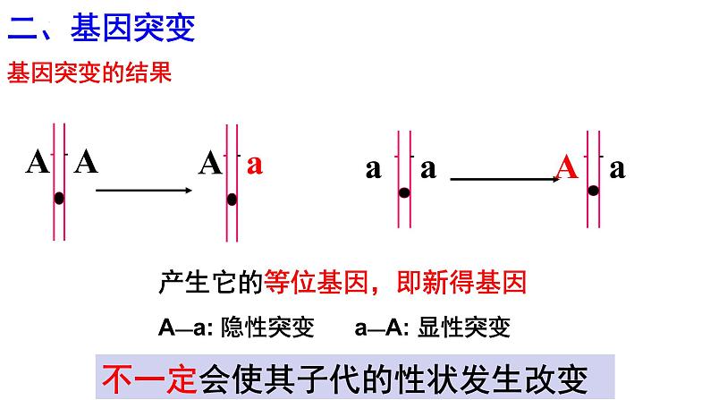 5.1基因突变和基因重组课件-2021-2022学年高一下学期生物人教版(2019)必修2第6页