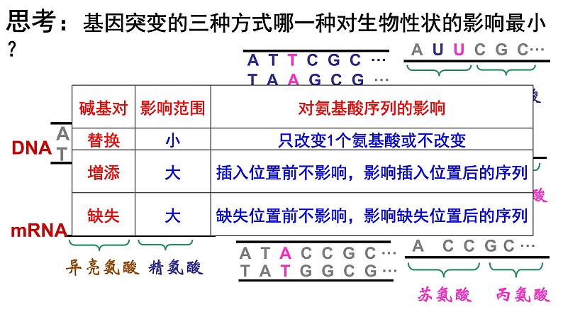 5.1基因突变和基因重组课件-2021-2022学年高一下学期生物人教版(2019)必修2第7页