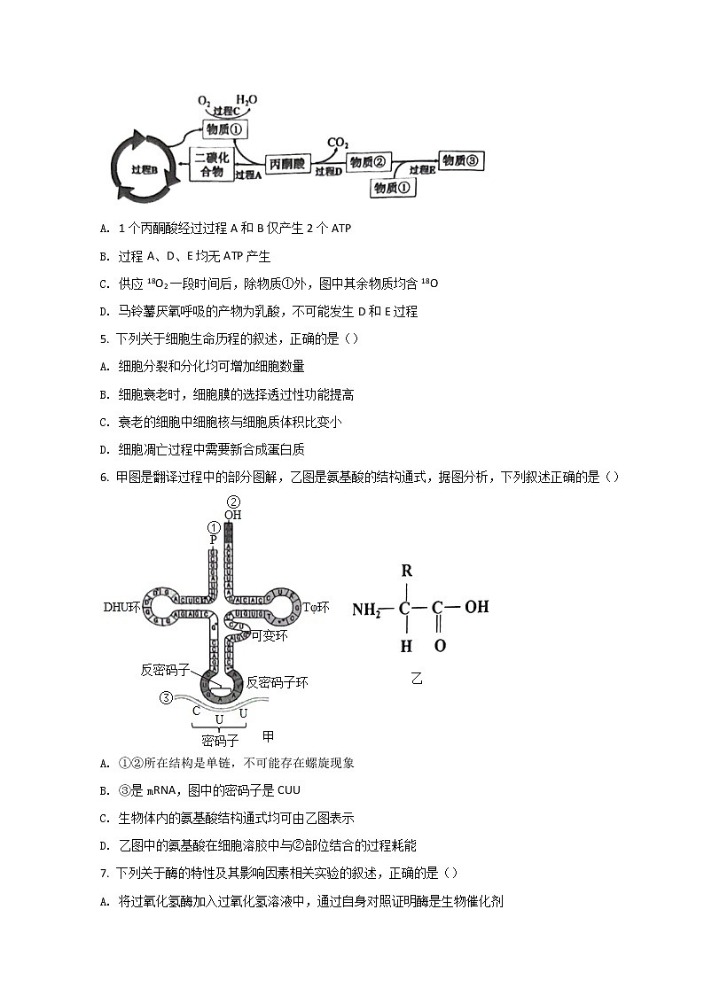2022浙江省十校联盟高三下学期第二次联考(返校考试)生物试题含答案第2页