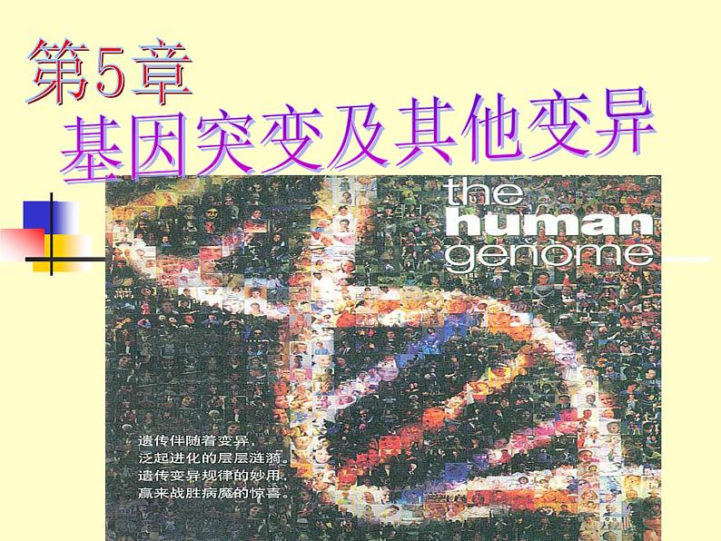 5.1 基因突变和基因重组课件PPT第1页