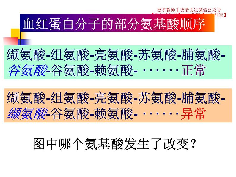 5.1 基因突变和基因重组课件PPT第6页
