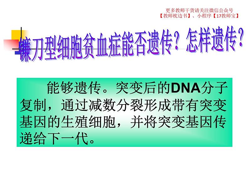 5.1 基因突变和基因重组课件PPT第8页