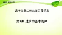 2021届高考生物二轮总复习：专题4生物的遗传 第3讲　遗传的基本规律课件