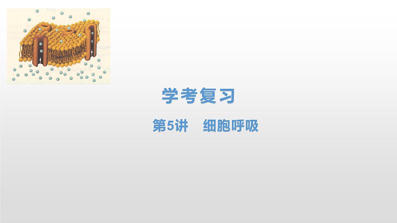 学考复习5细胞呼吸 课件【新教材】2022届浙江高考生物学考复习(浙科版(2019))第1页