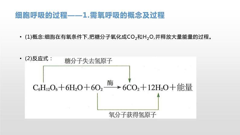 学考复习5细胞呼吸 课件【新教材】2022届浙江高考生物学考复习(浙科版(2019))第5页