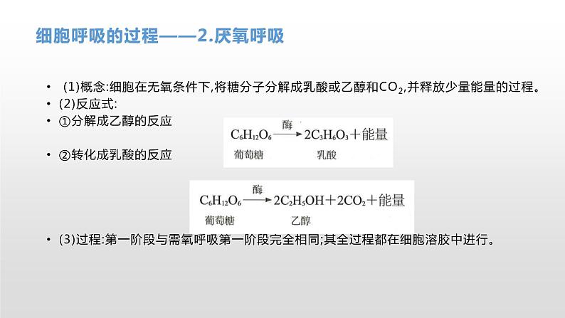 学考复习5细胞呼吸 课件【新教材】2022届浙江高考生物学考复习(浙科版(2019))第7页