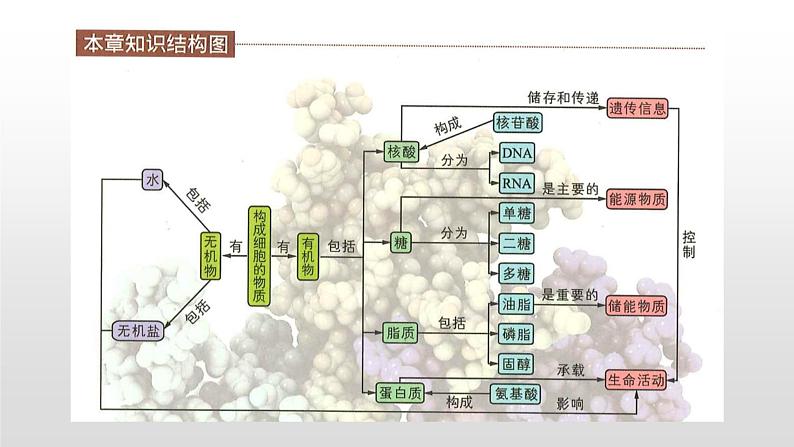 学考复习1组成细胞的化合物 课件【新教材】2022届浙江高考生物学考复习(浙科版(2019))第5页