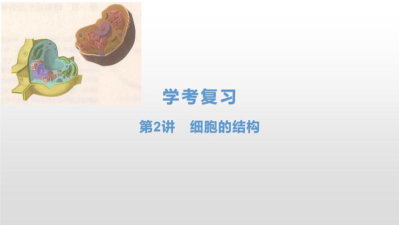 学考复习2细胞的结构 课件【新教材】2022届浙江高考生物学考复习(浙科版(2019))第1页