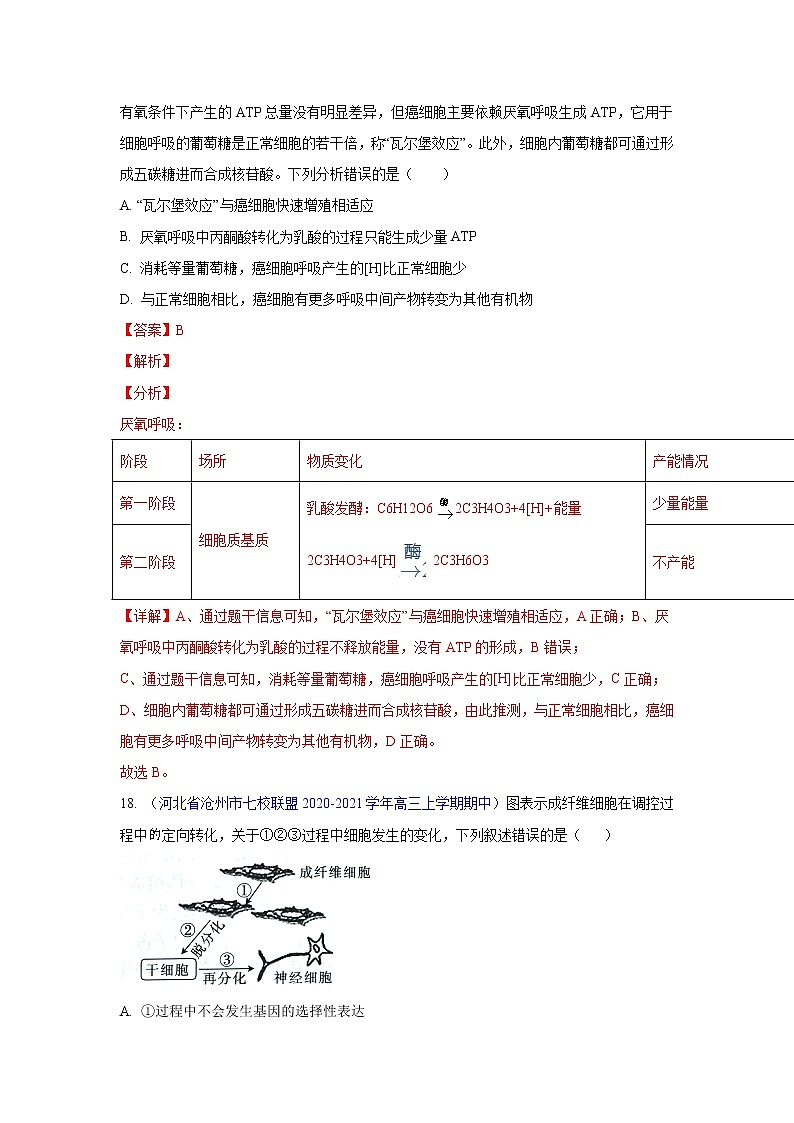 专题06 细胞的生命历程- 高三生物模拟试卷分类汇编(1月刊)第3页