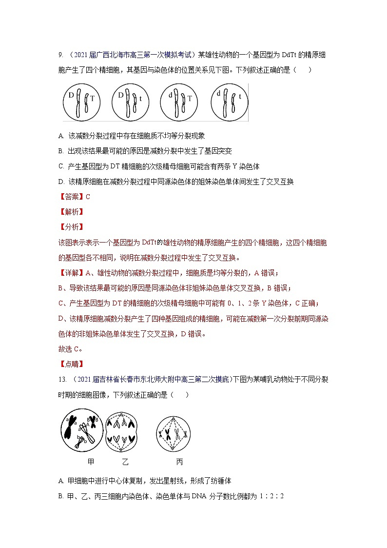 专题07 细胞增殖- 高三生物模拟试卷分类汇编(1月刊)第1页