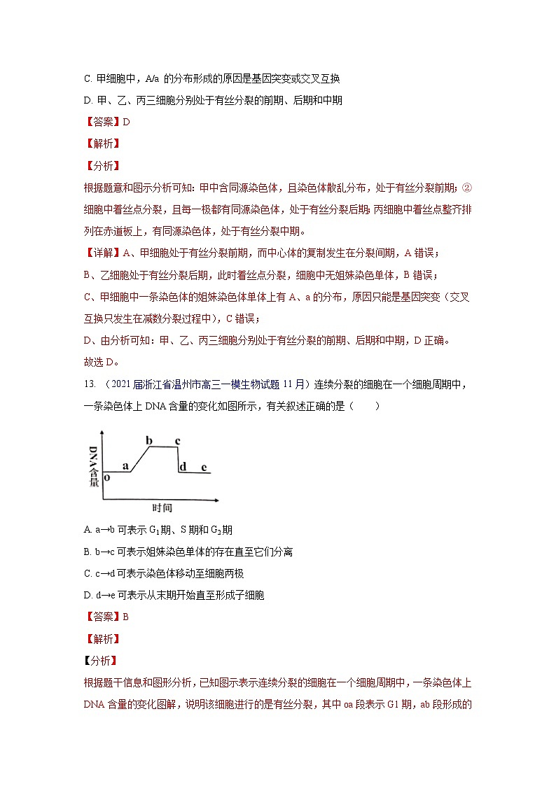 专题07 细胞增殖- 高三生物模拟试卷分类汇编(1月刊)第2页