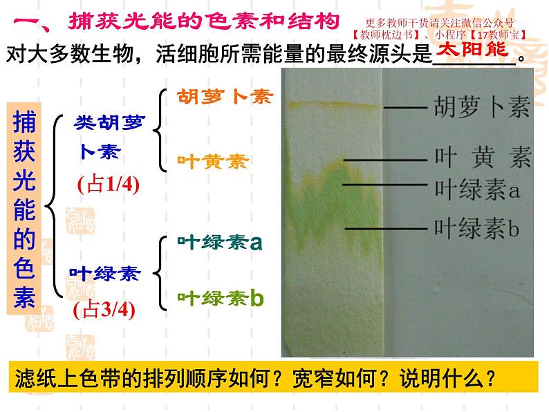 5.4.2 光合作用的原理和运用课件PPT第7页