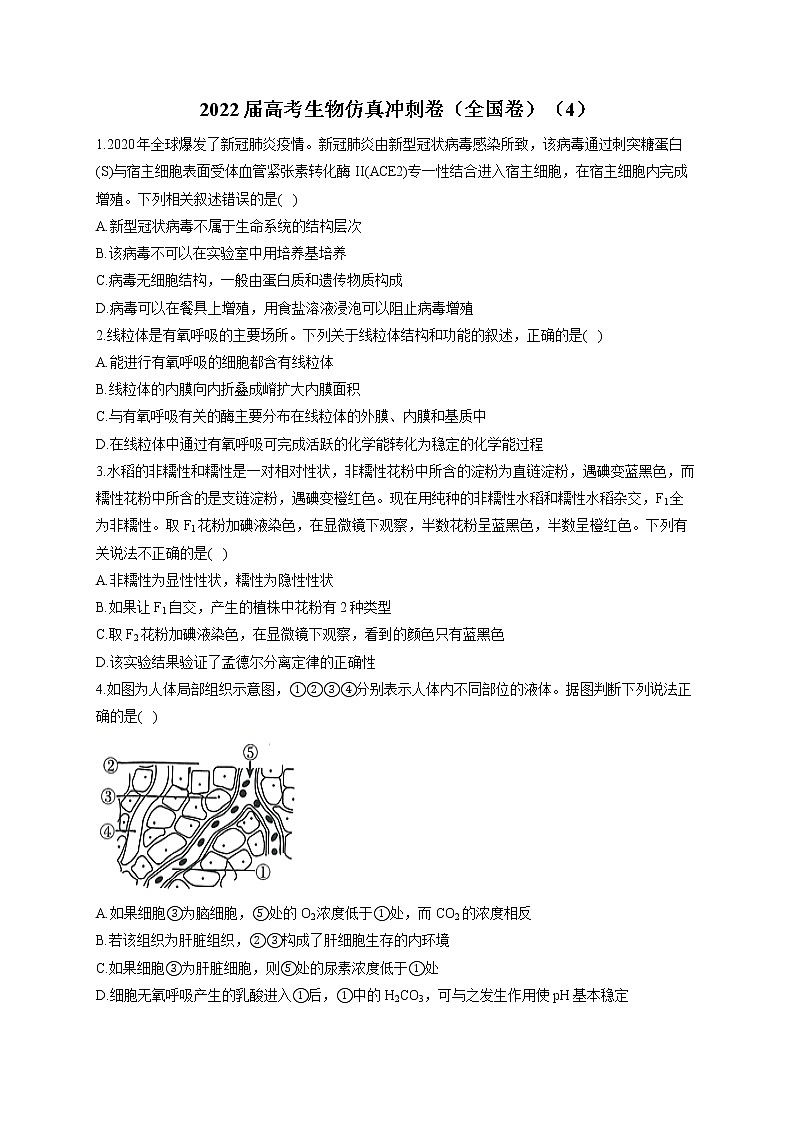 2022届高考生物仿真冲刺卷(全国卷)(4)第1页