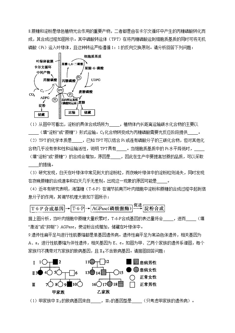 2022届高考生物仿真冲刺卷(全国卷)(4)第3页