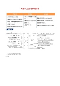 高考生物二轮复习突破专题04《光合作用和呼吸作用》学案（含详解）