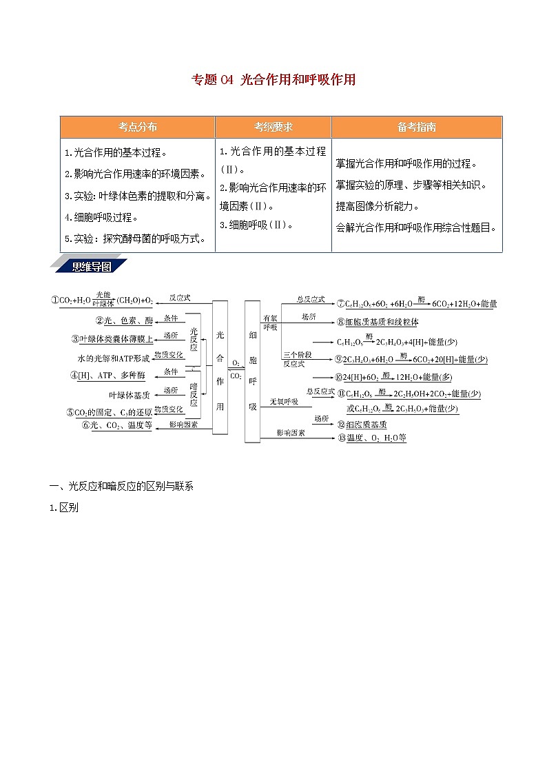 高考生物二轮复习突破专题04《光合作用和呼吸作用》学案(含详解)第1页