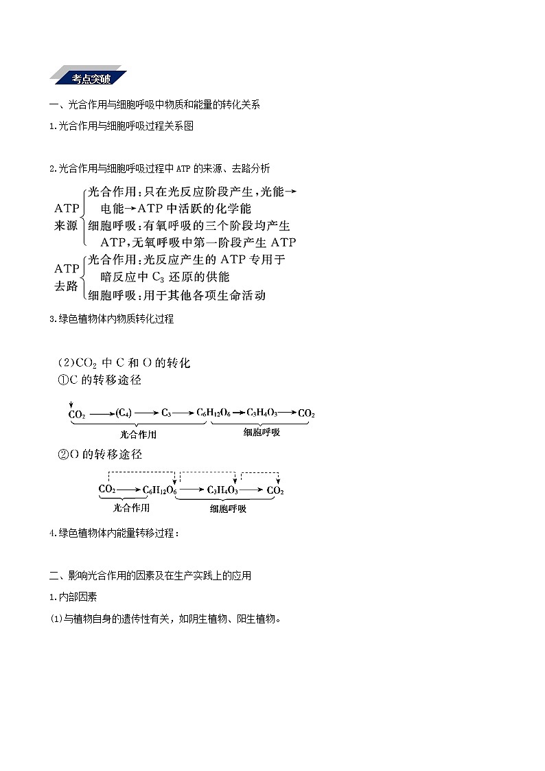 高考生物二轮复习突破专题04《光合作用和呼吸作用》学案(含详解)第3页