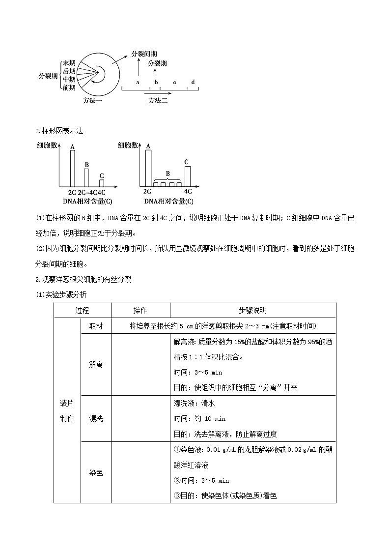高考生物二轮复习突破专题05《细胞增殖和受精作用》学案(含详解)第3页