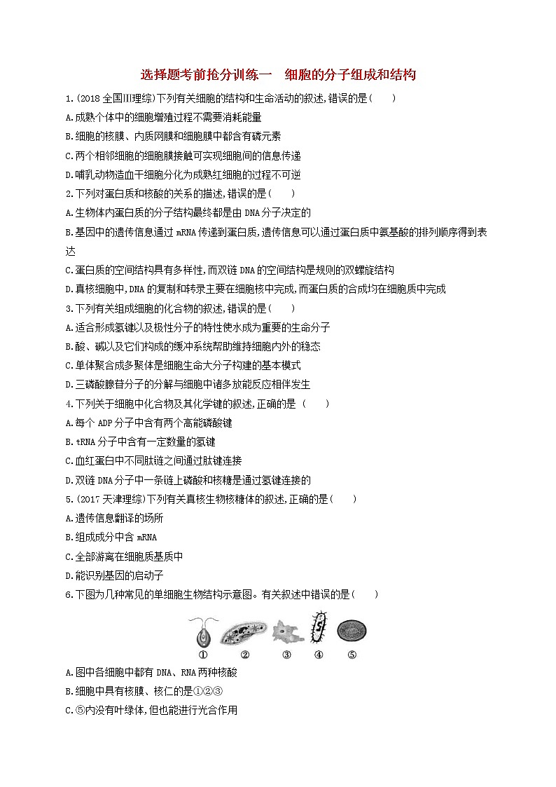 高考生物二轮复习选择题考前抢分训练01《细胞的分子组成和结构》(含详解)第1页